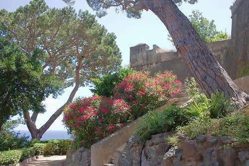 Bastia La Citadelle et le Jardin Romieu Villas Clos Grégoire Locations de Villas